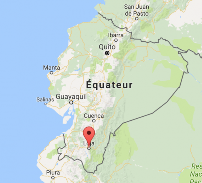 Consultation découverte