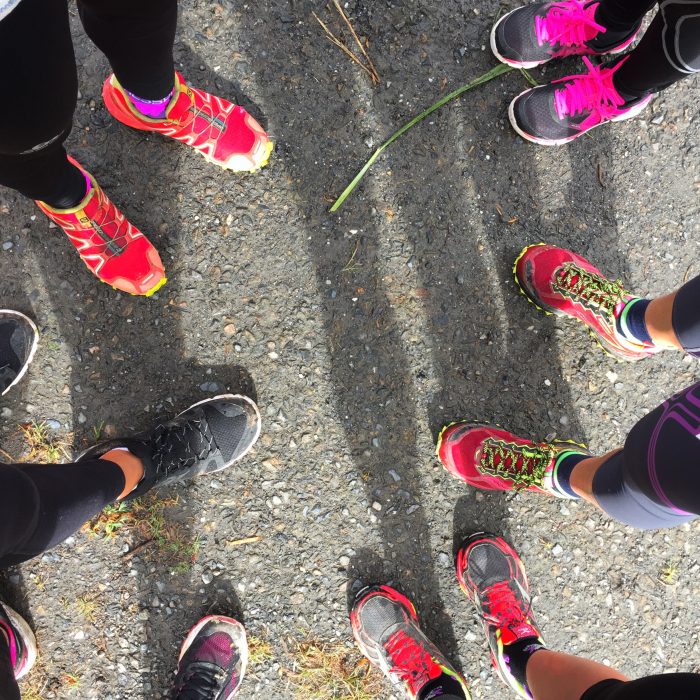 Consultation découverte