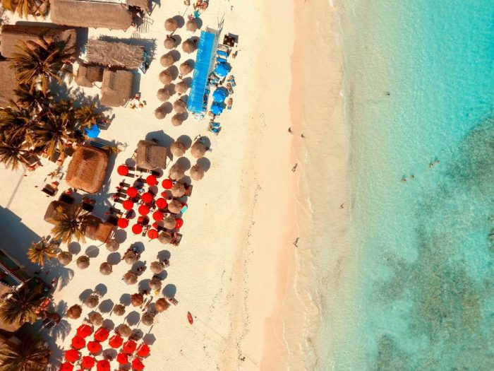 Consultation découverte